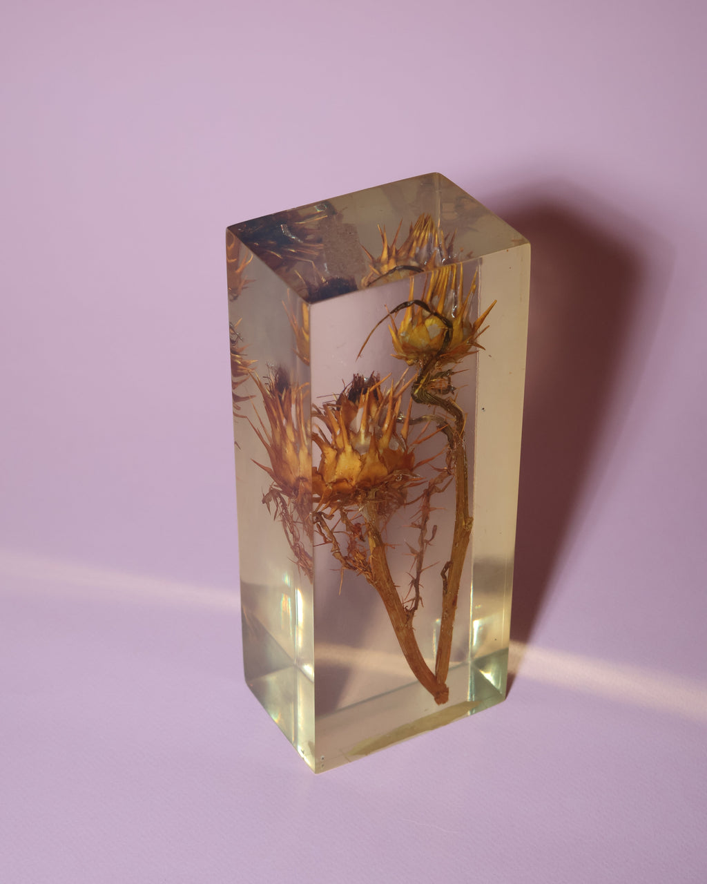 Resin Block with Dried Flowers