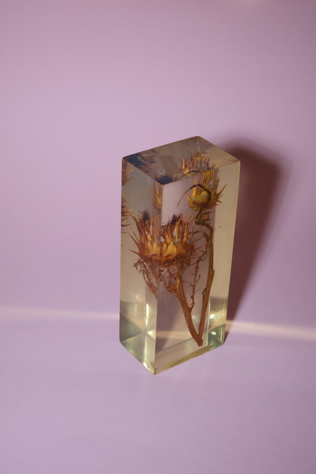 Resin Block with Dried Flowers